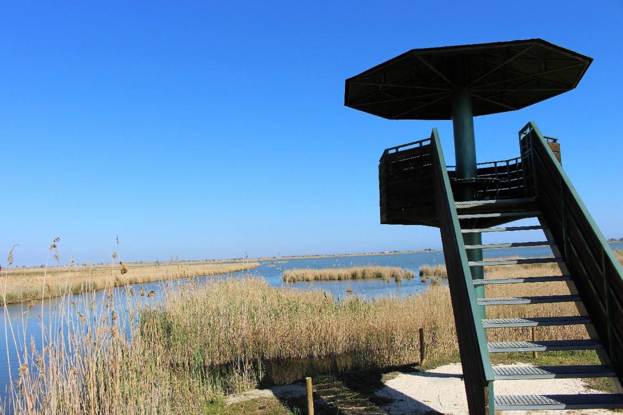 Eusebio - Casa En Riumar Para 4 Personas Y En Primera Linia De Mar - Deltavacaciones ภายนอก รูปภาพ